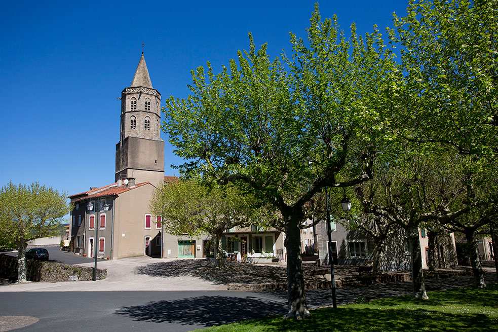 Saint-Amans-Soult - Laurent Frézouls